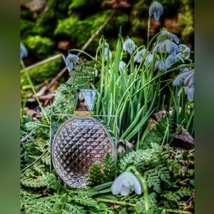 Stella Mccartney L.I.L.Y.